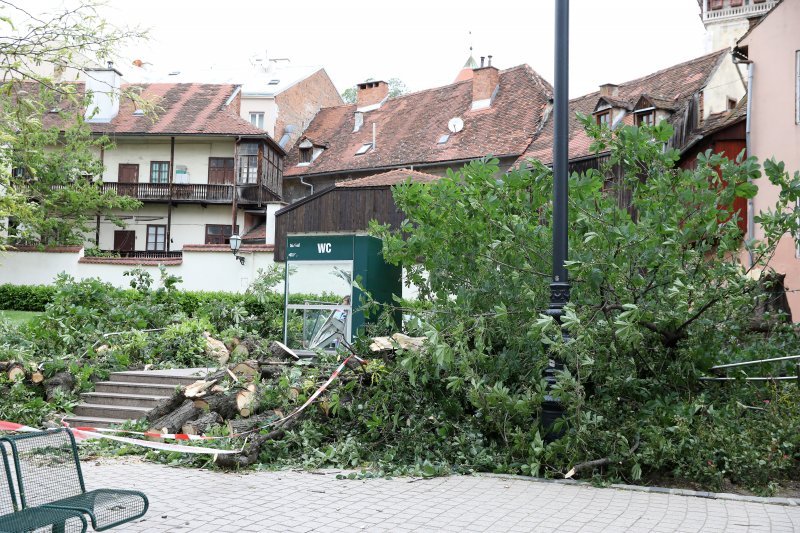 Srušeno stablo na javni WC u Cesarčevoj