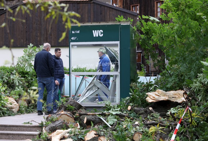 Srušeno stablo na javni WC u Cesarčevoj