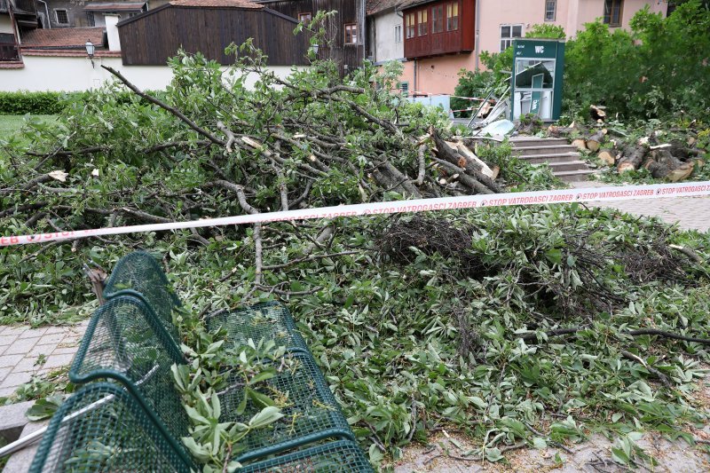 Srušeno stablo na javni WC u Cesarčevoj