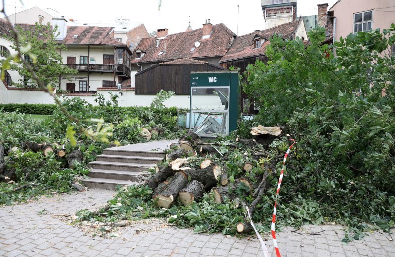 Srušeno stablo na javni WC u Cesarčevoj