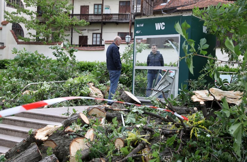 Srušeno stablo na javni WC u Cesarčevoj