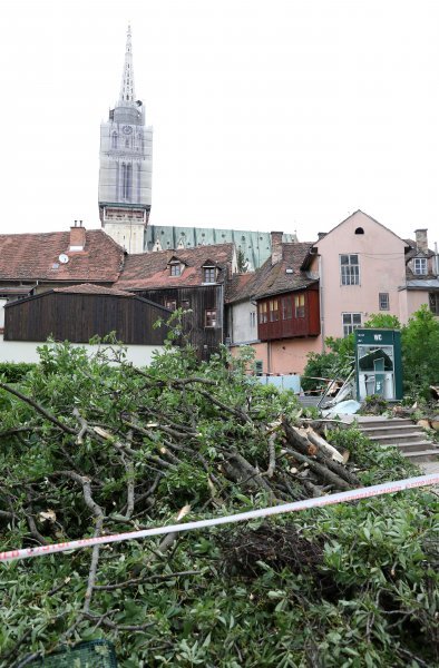 Srušeno stablo na javni WC u Cesarčevoj