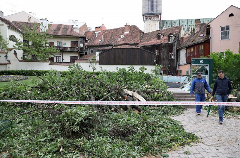 Srušeno stablo na javni WC u Cesarčevoj