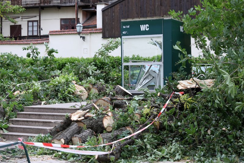 Srušeno stablo na javni WC u Cesarčevoj