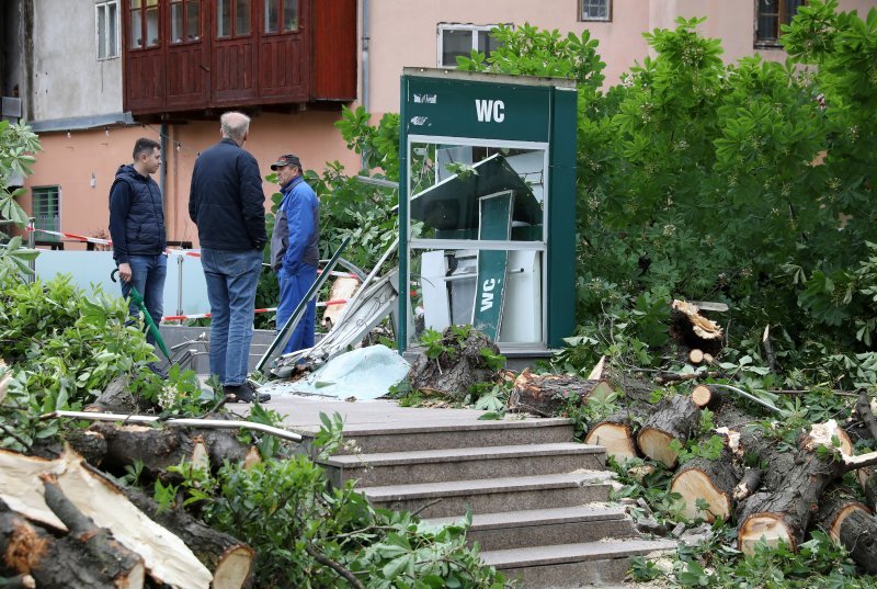 Srušeno stablo na javni WC u Cesarčevoj