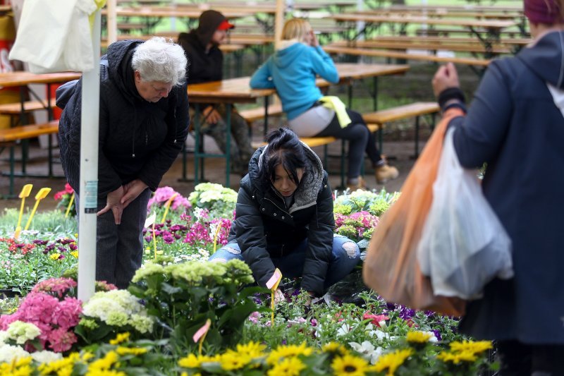 Otvoren Floraart 2019.