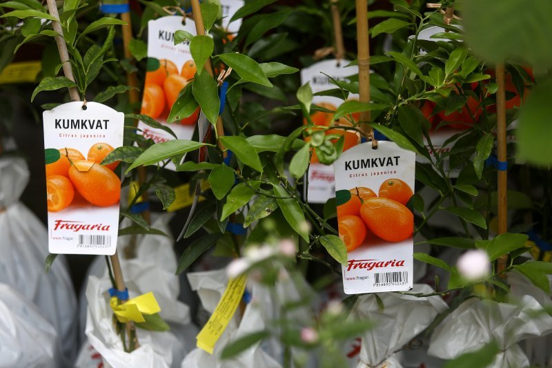 Otvoren Floraart 2019.