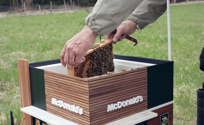 McDonald's za pčele