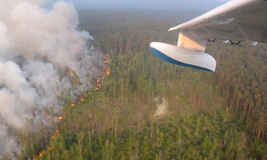 Gori oko tri milijuna hektara