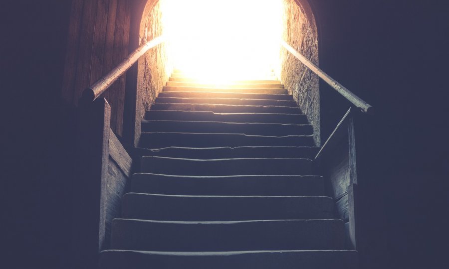 tportal