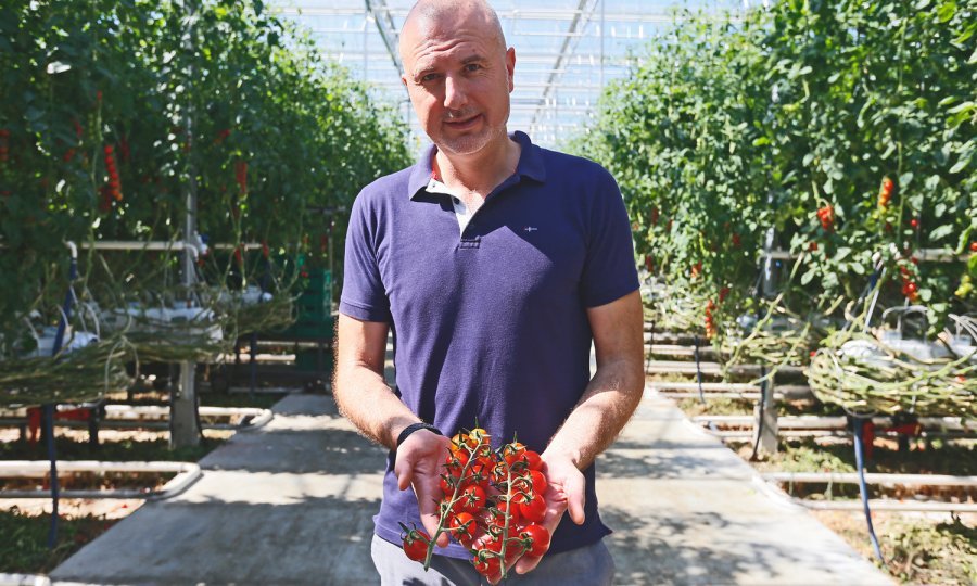 Zvonimir Belić, direktor Zarja grupe