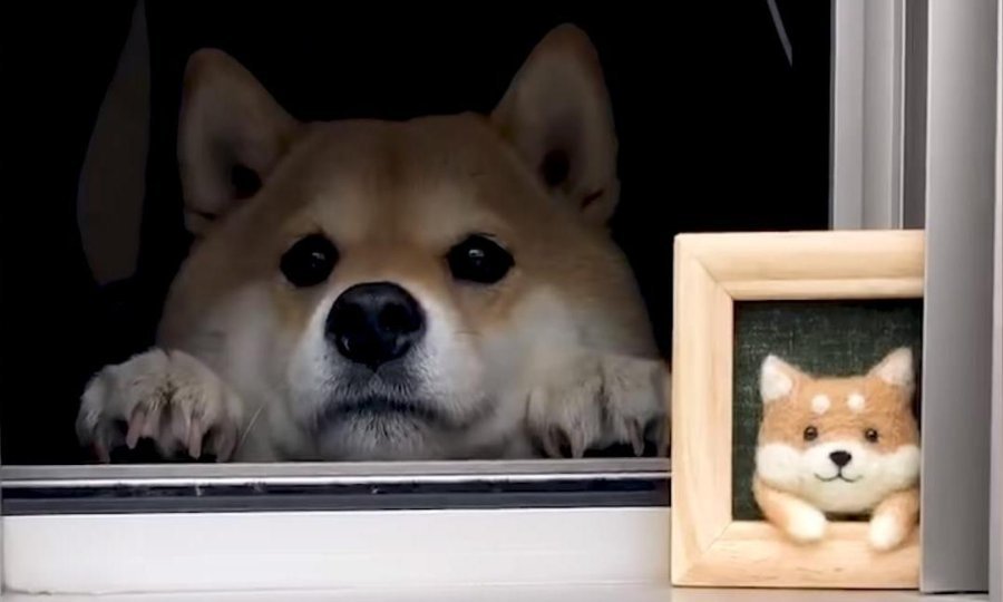 tportal