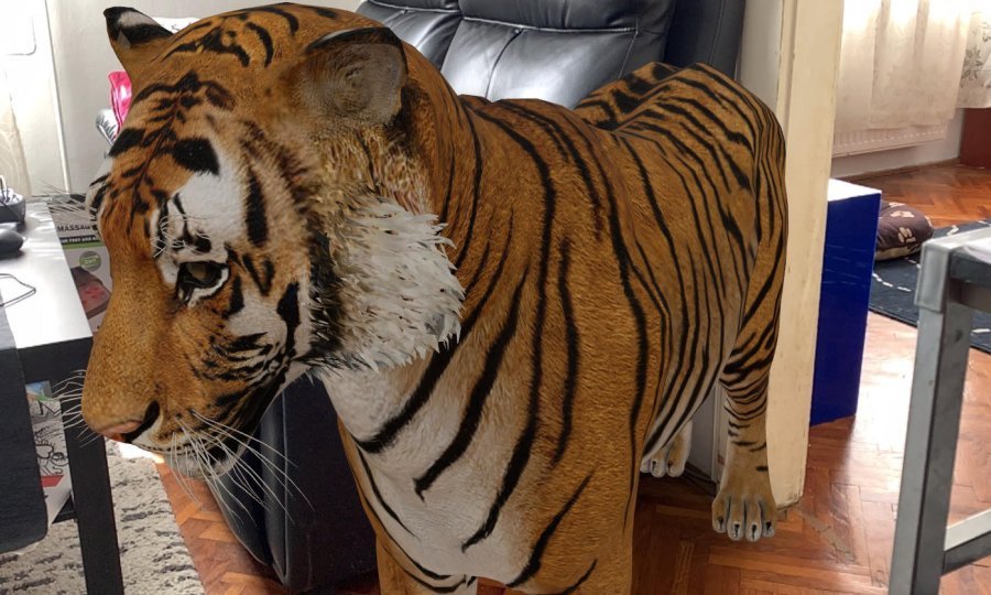 I saw a tiger, and the tiger saw man...
