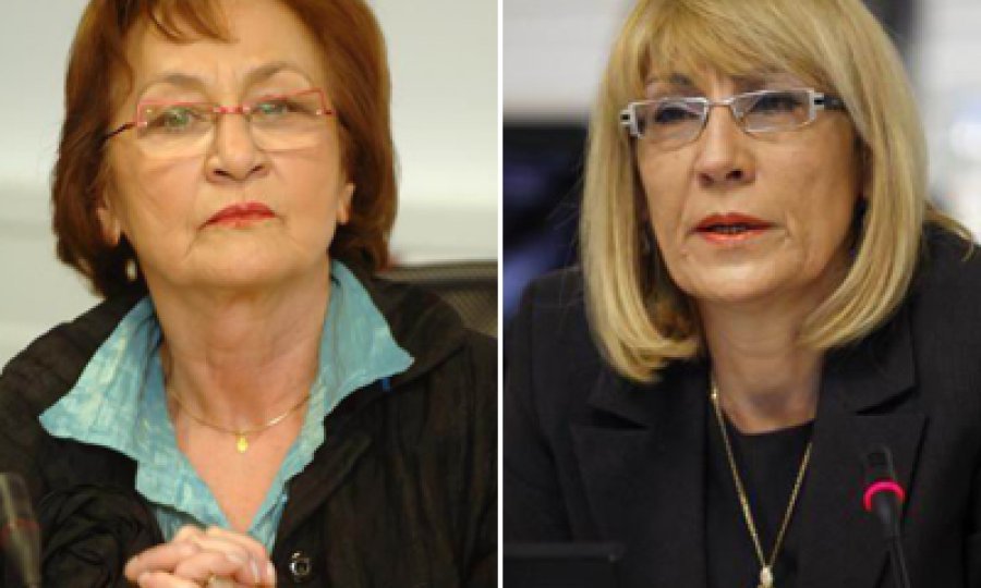 Silvija Luks i Nada Zgrebljić Rotar