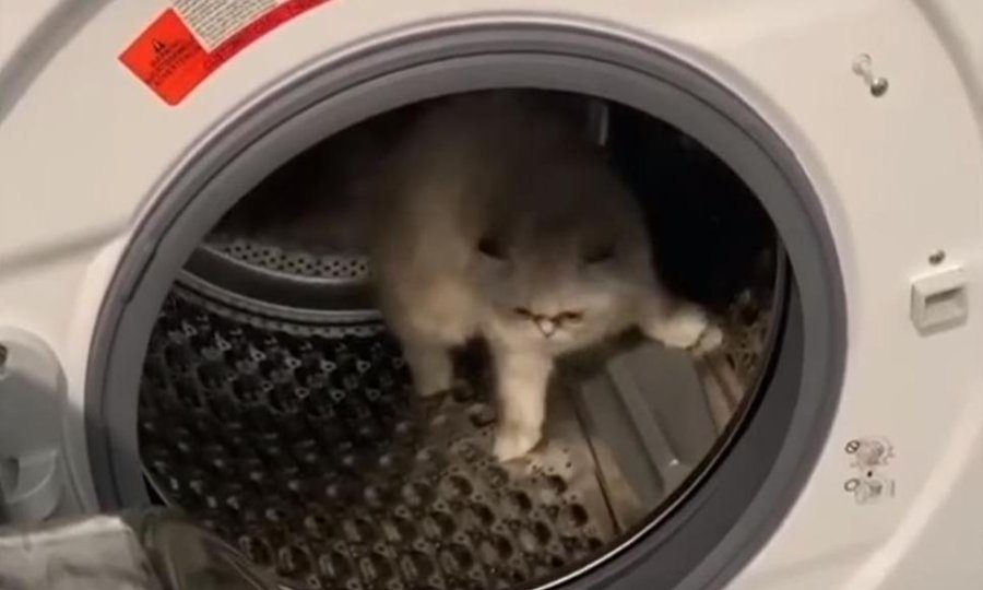 tportal
