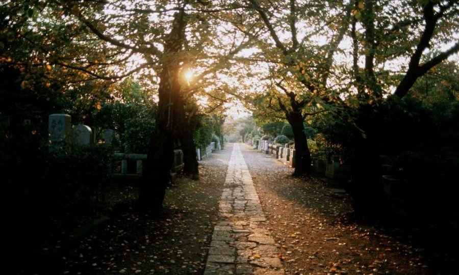 groblje japan
