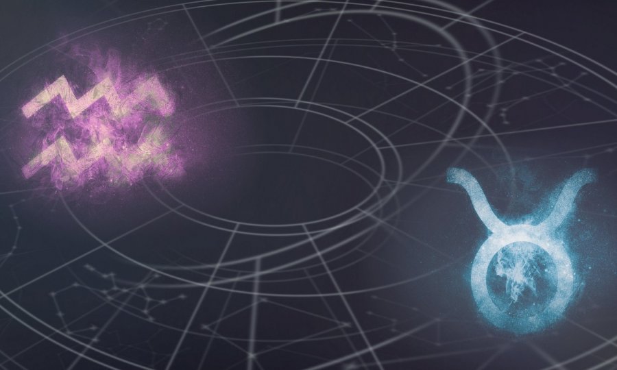 tportal