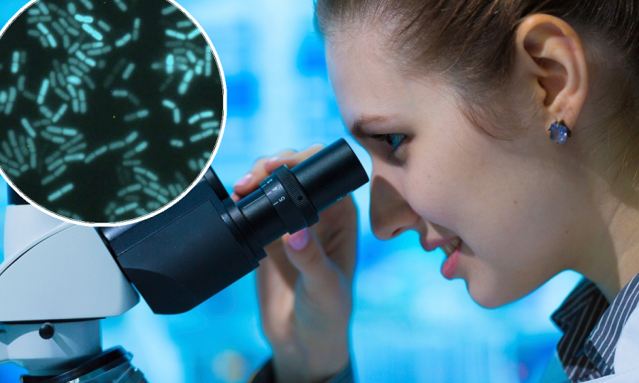 Ova saznanja mogla bi utjecati na vrijeme isporuke lijekova, biotehnologiju i zaštitu usjeva