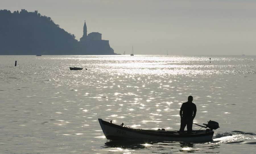 Piranski zaljev