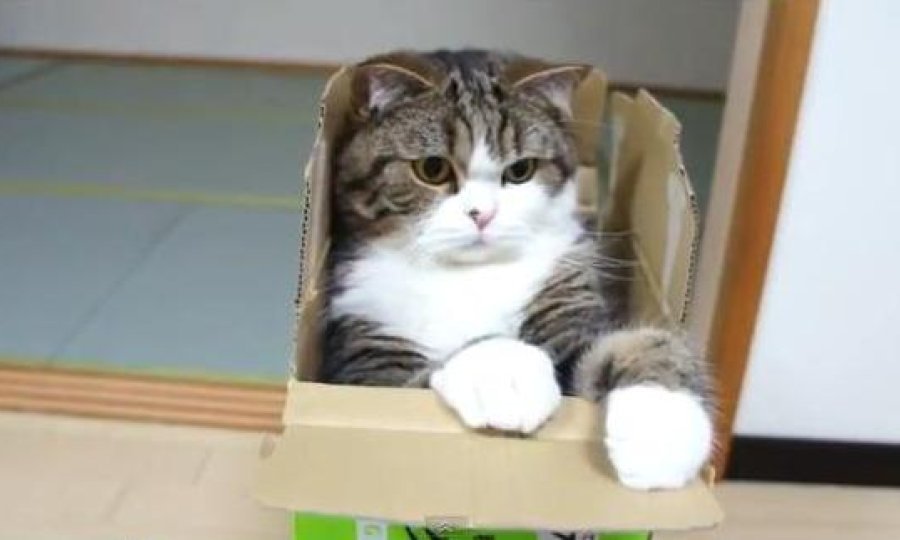 Maru