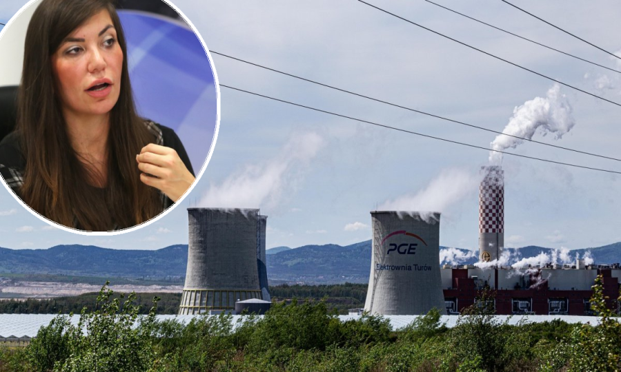 Snježana Vasiljević/Rudnik i elektrana Turow