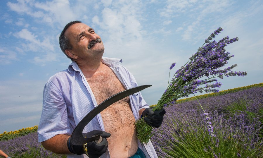 Pogled u nebo berača na polju lavande kod Vukovara kao da je nagovijestio nepovoljan razvoj situacije