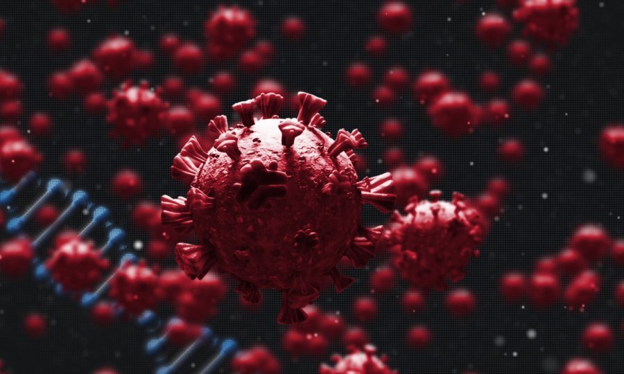 tportal