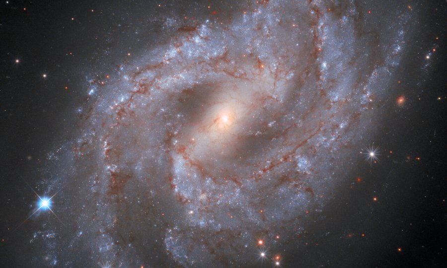 tportal