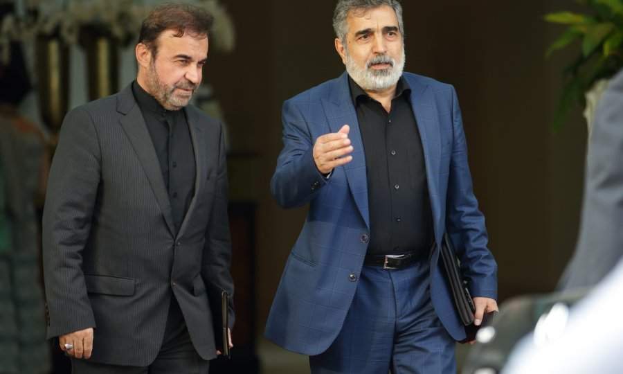 Reza Najafi i Behrouz Kamalvandi u Beču