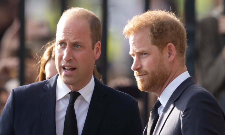 Princ William i princ Harry