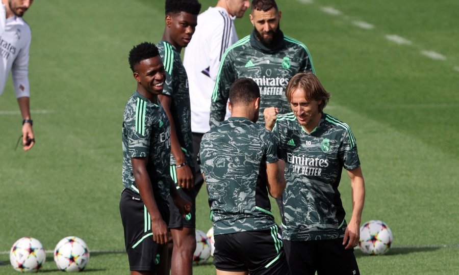 Lula Modrić