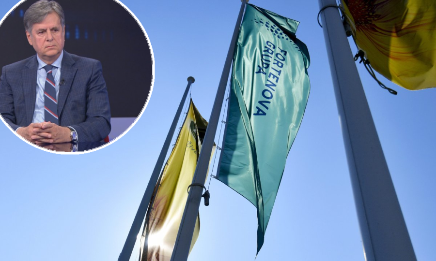 Damir Novotny, Fortenova Grupa