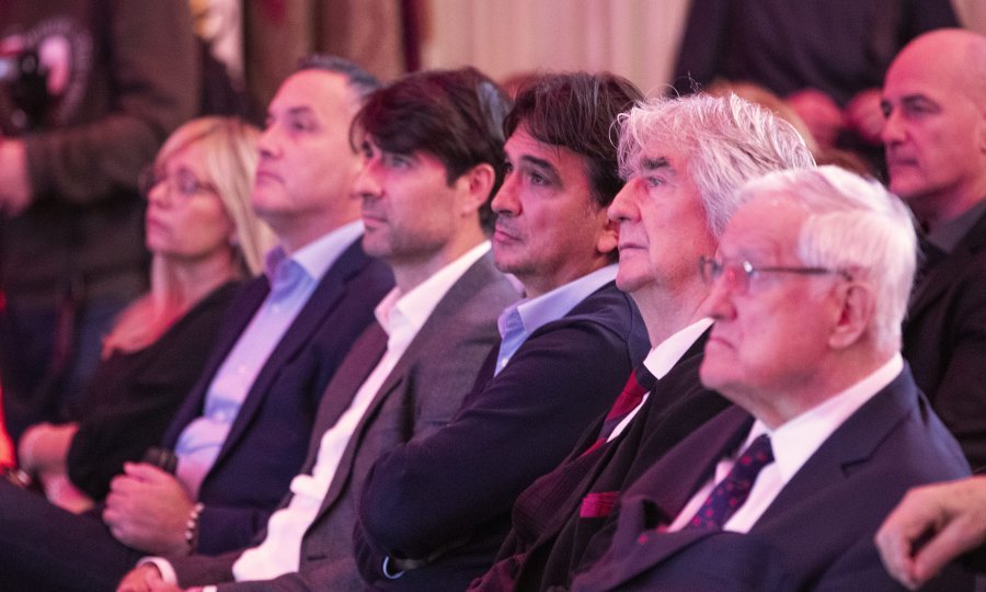 Vedran Ćorluka