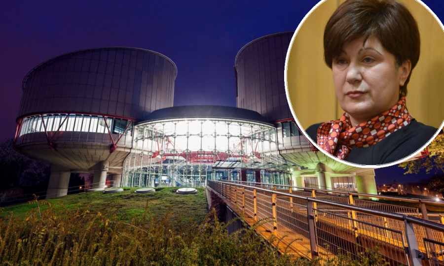 Zastupnica RH pri ESLJP Štefica Stažnik