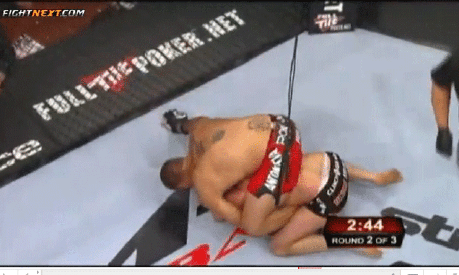 Antonio Silva i Fedor Emelianenko