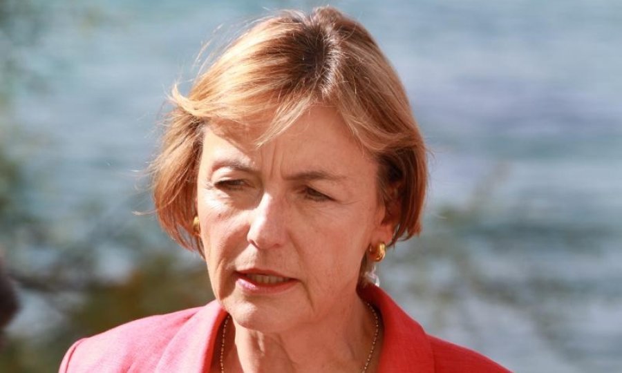 Vesna Pusić