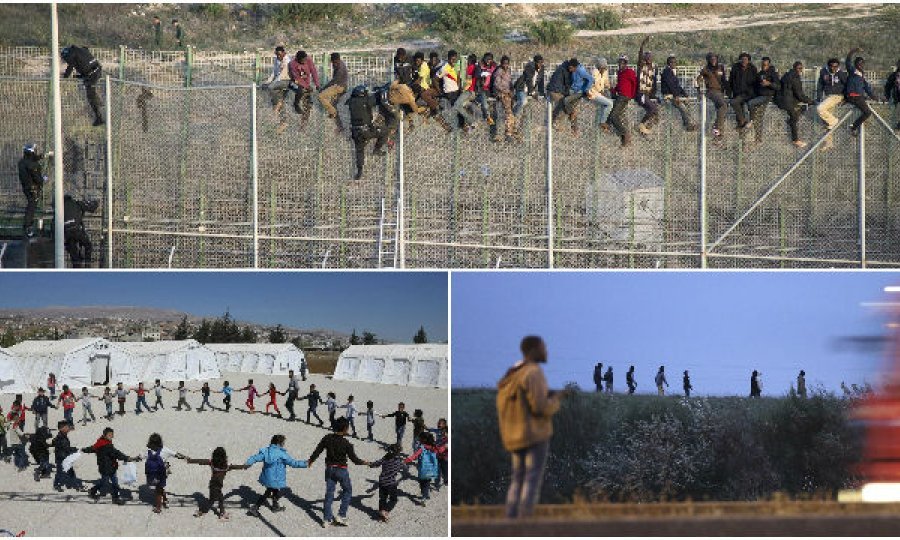 imigranti spojka