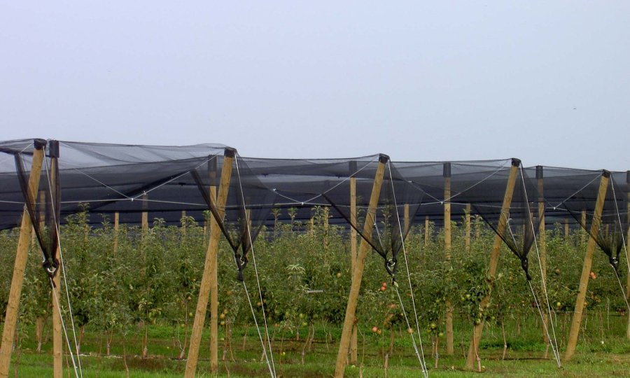 natura agro