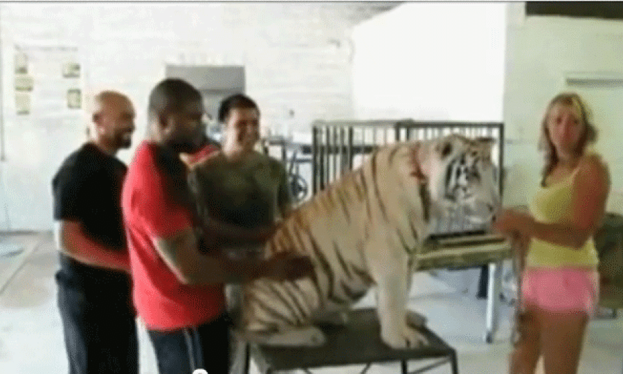 Rampage Jackson