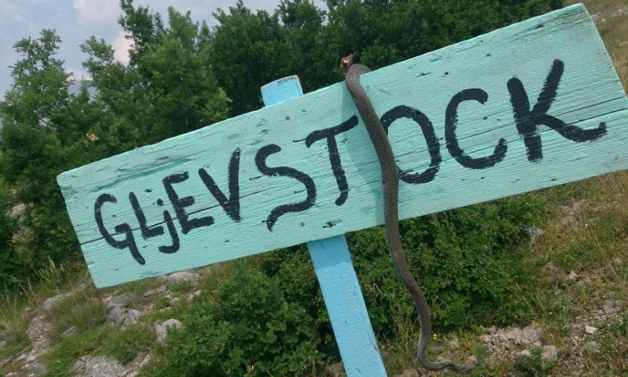 gljevstock_34