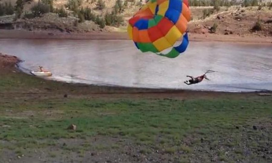 parasailing funvideo