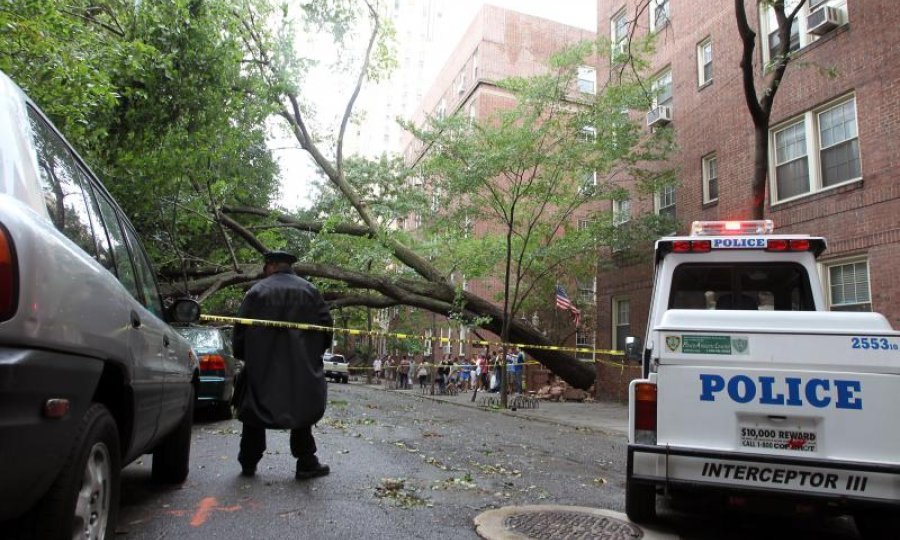 New York 201