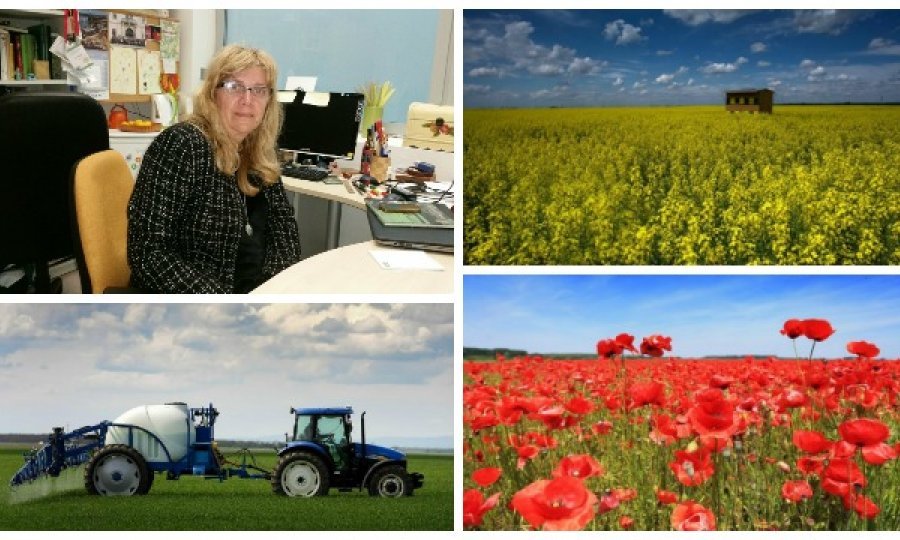 Alka Turalija o hortikulturi i poljoprivredi