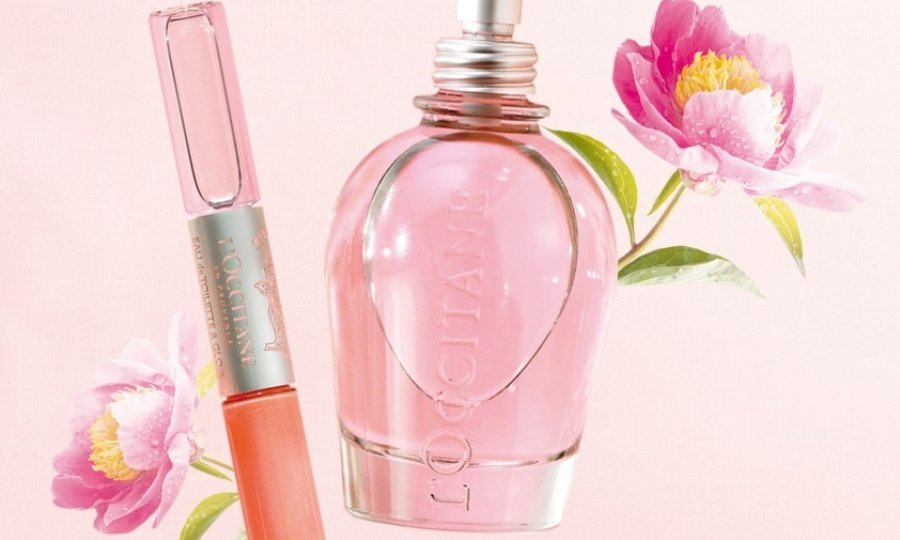 pivoine delicate