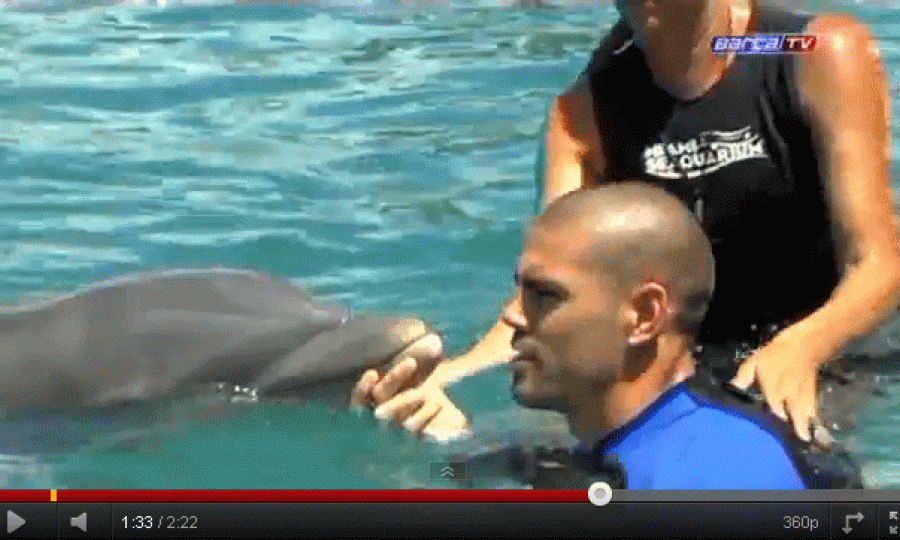 Victor Valdes i delfin