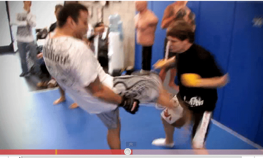 Fabricio Werdum i Nasty Horse