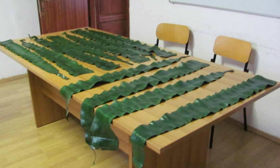 Šverc kobre