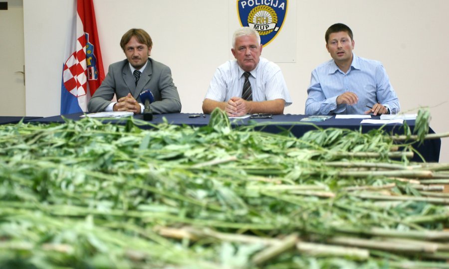 marihuana zapljena policija