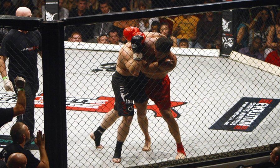 MMA, borba u oktogonu