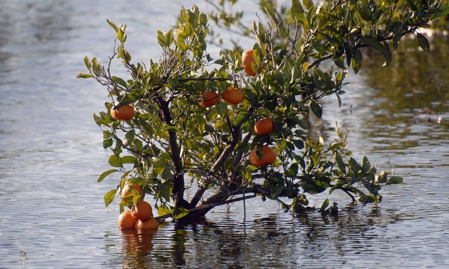 neretva